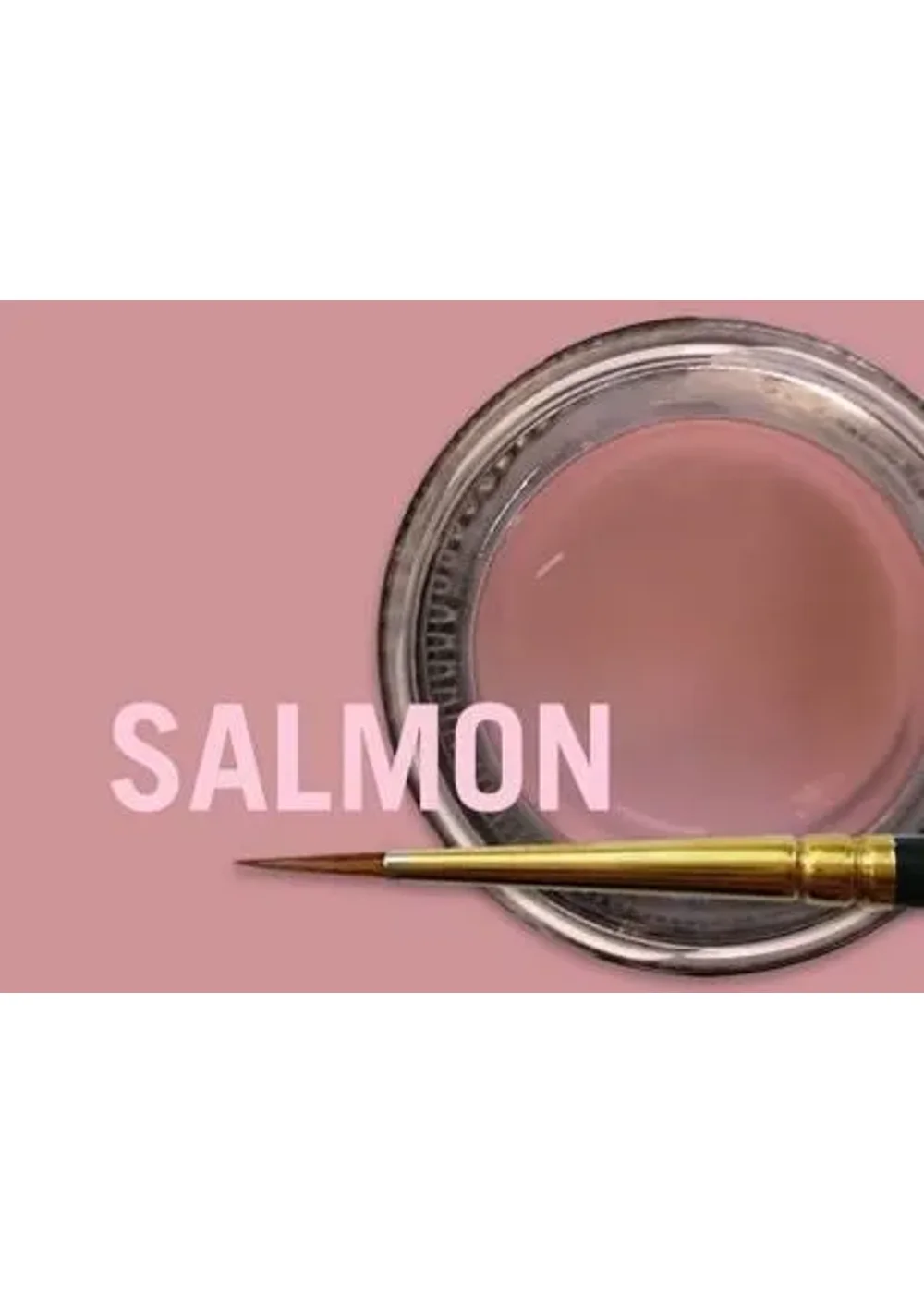 Внешний краситель для десны, Jensen GmbH, MiYO Gingiva Color Salmon, 4 г