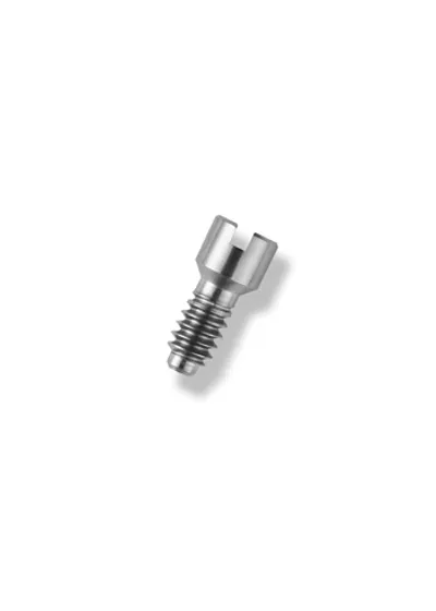 Винт DENTSPLY MP для отливаемого колпачка