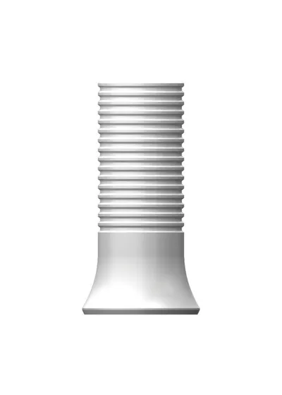 Цилиндр пластиковый, OSSTEM, SS Octa Standard, не 8-гранный, D=4.8 мм, L=10.0 мм, с винтом