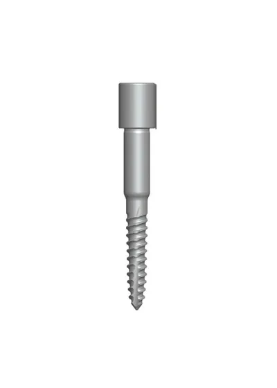 Фиксирующий винт Dentium DGAS10, 19 мм
