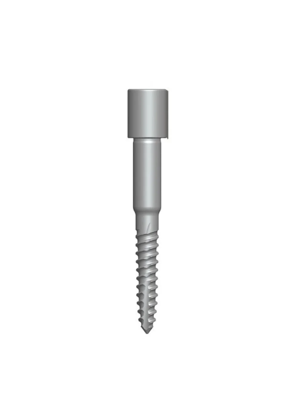Фиксирующий винт Dentium DGAS10, 19 мм
