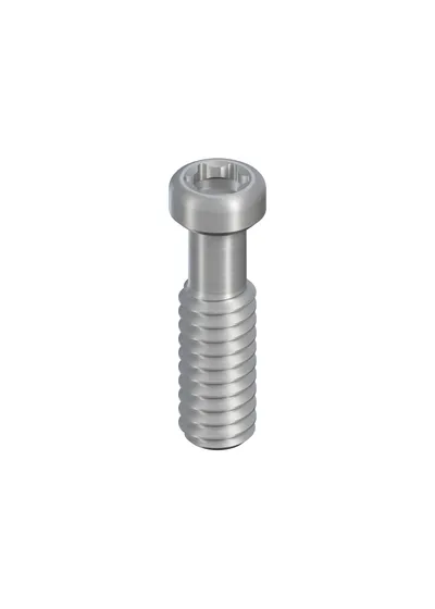 Винт окклюзионный SCS M2, Straumann®, 046.754, TAN