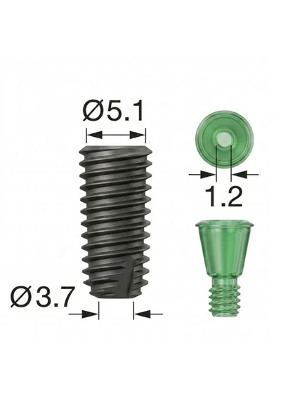 Имплантат, OSSTEM, TS III SA Standart, D=5.0 мм, L=5.0 мм, с адаптером и винт-заглушкой