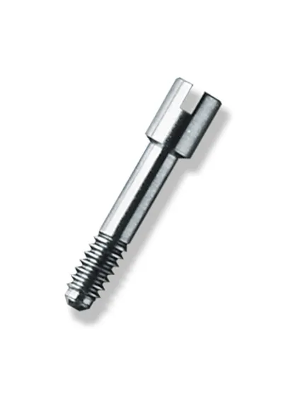 Винт стандартного абатмента, DENTSPLY, XIVE D3.4-D5.5, титан, Германия