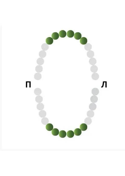 Крепление для Раббер Дам, Medenta, 129-006, тип бабочка для резцов и клыков
