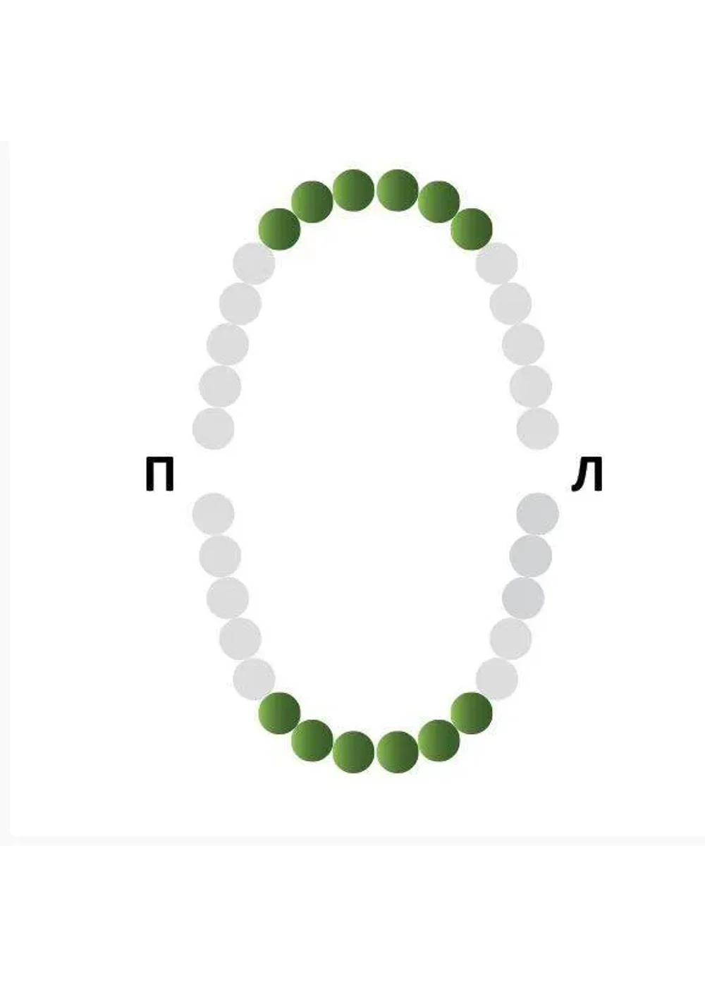 Крепление для Раббер Дам, Medenta, 129-006, тип бабочка для резцов и клыков