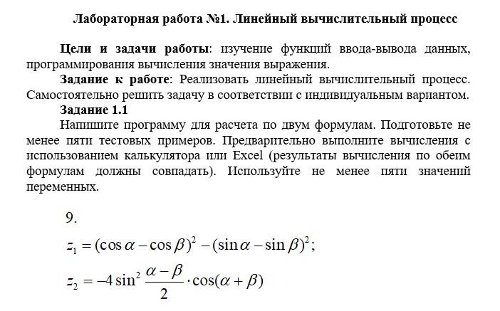 Скриншот работы