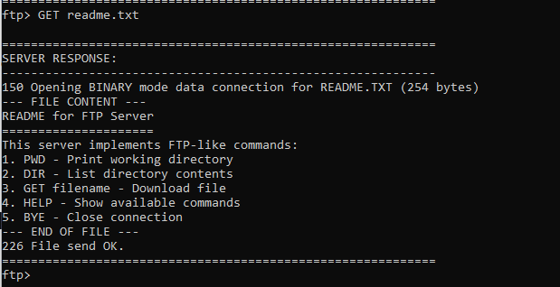 Скриншот работы