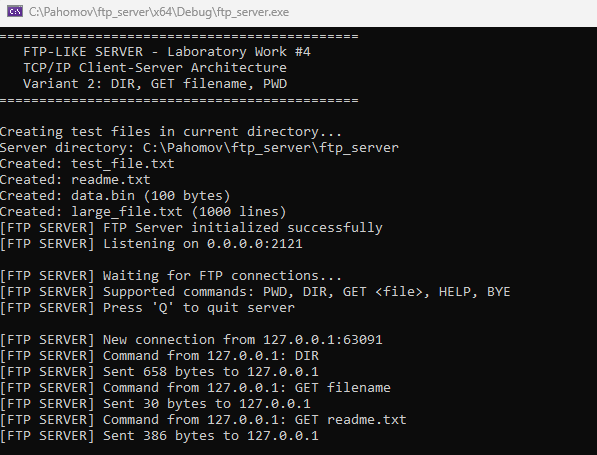 Скриншот работы