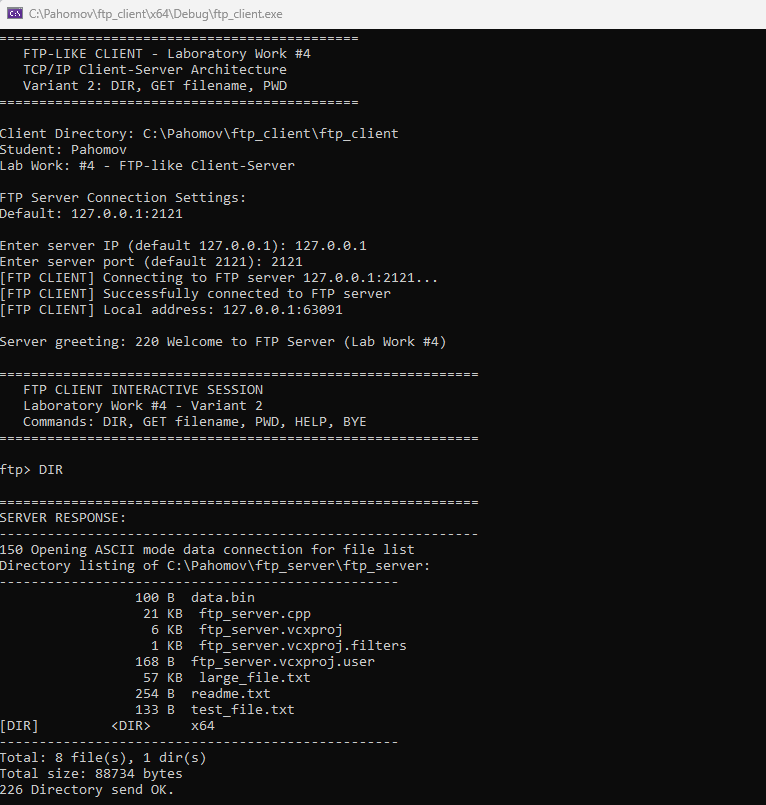 Скриншот работы