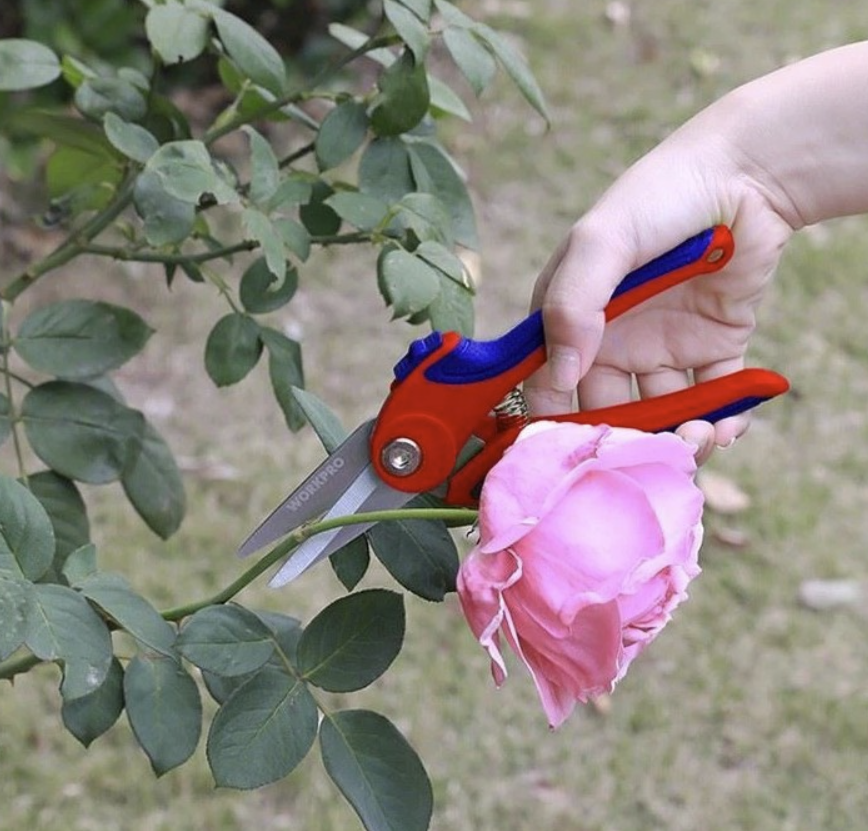 Секатор WORKPRO 180 мм для цветов (WP332002) – фото №1 Секатор WORKPRO 180 мм для цветов (WP332002) – №1