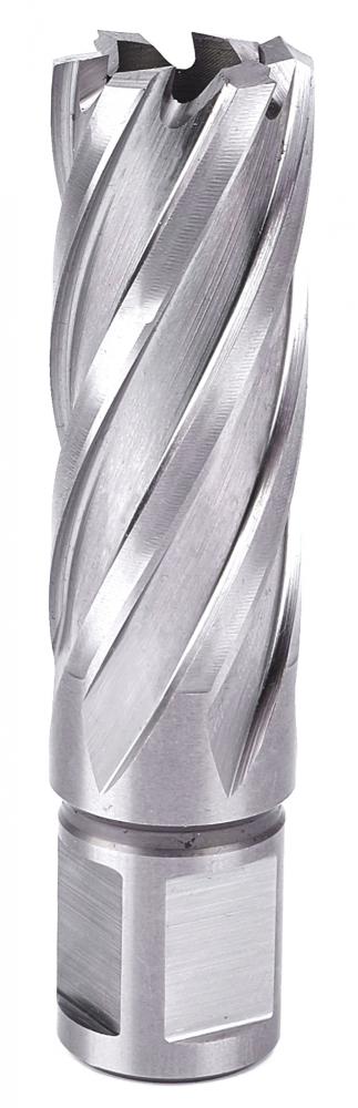 Фреза ПрофОснастка №11 HSS Ø19/ L 55 мм – №1