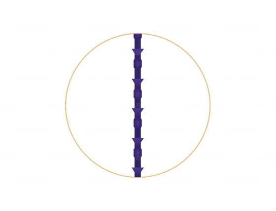 Мезонити Honey Derma Thread PDO DUAL NEEDLE SZ type 21Gx110mm - 406mm (Хани Дерма Фред)