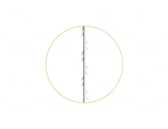 Мезонити Honey Derma Thread PLACL Dual Needle FE type 21Gx110mm-300mm (Хани Дерма Фред)