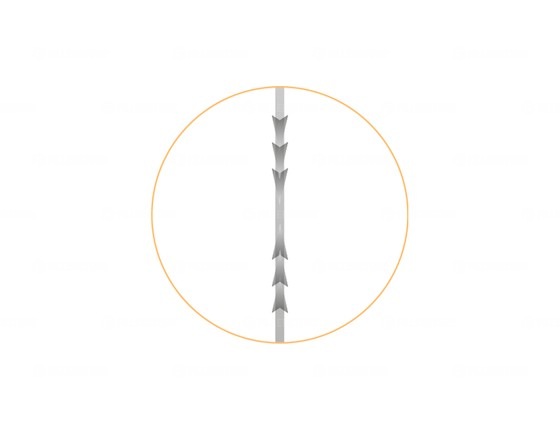 Мезонити Honey Derma Thread PLACL Dual Needle SC type 21Gx110mm-404mm (Хани Дерма Фред)