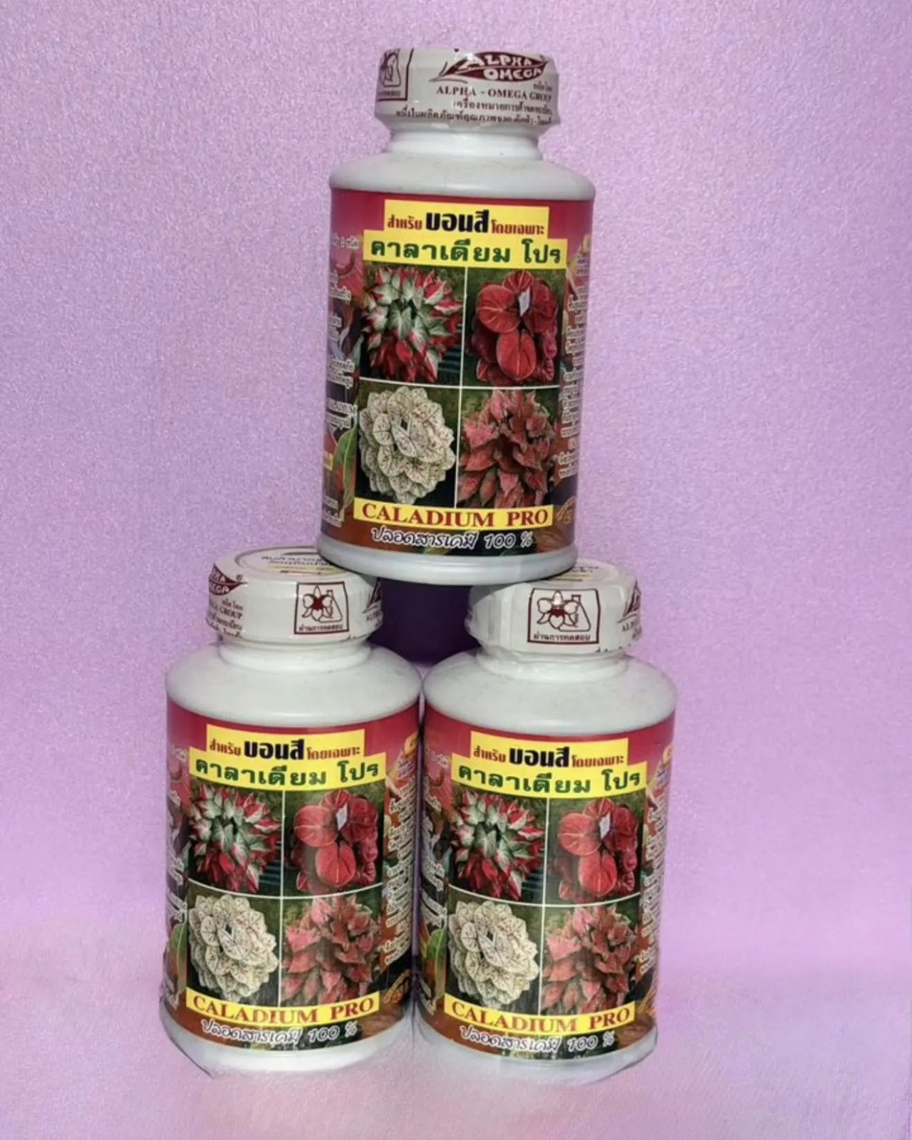 CALADIUM PRO
