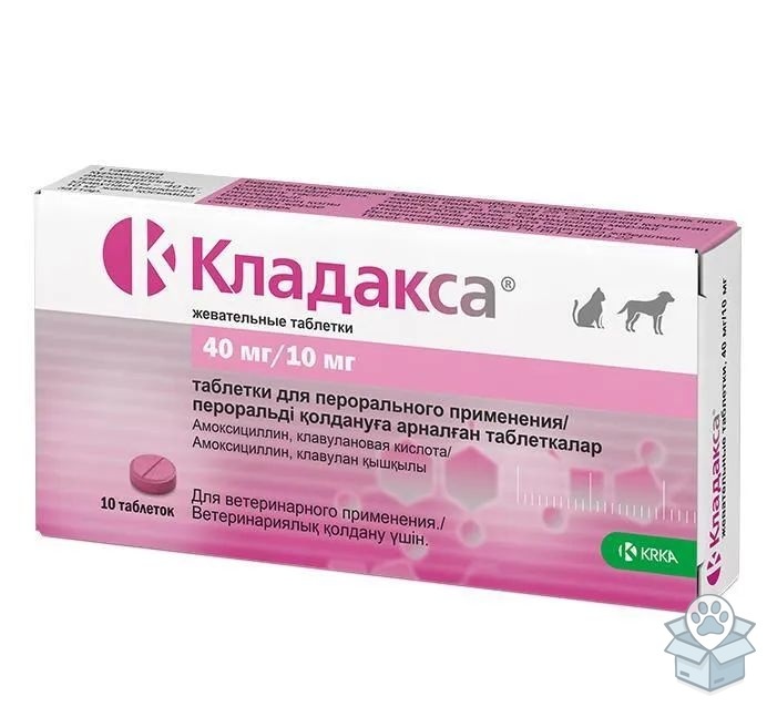 19db06d767e541da9756d641fddc3552