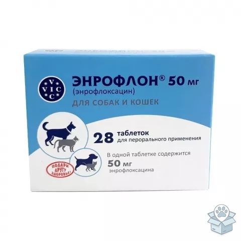 d9115848cbe541fdbd6a07bc6e38217a