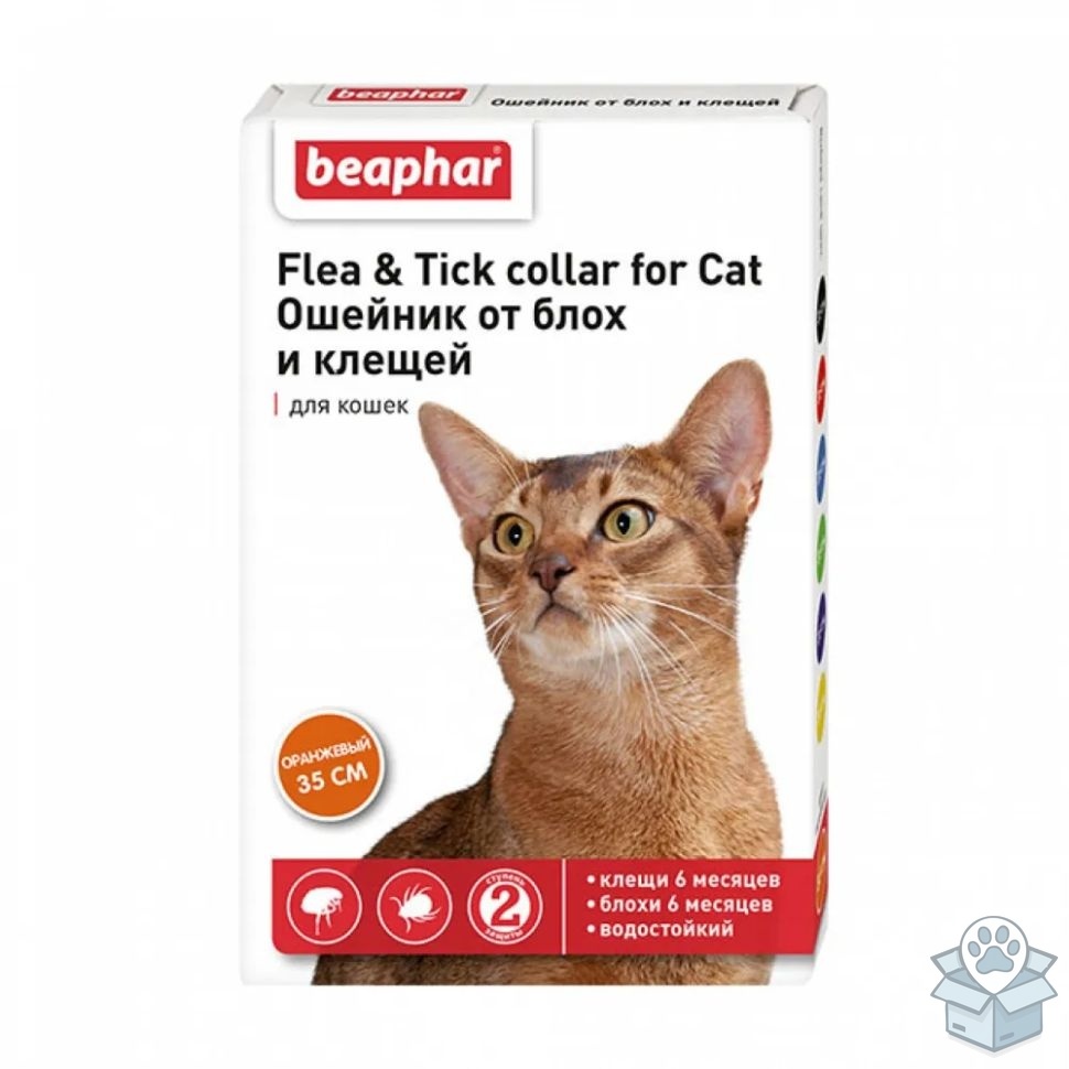 c6313eef6ea74e4ca35e7e313ca7da42