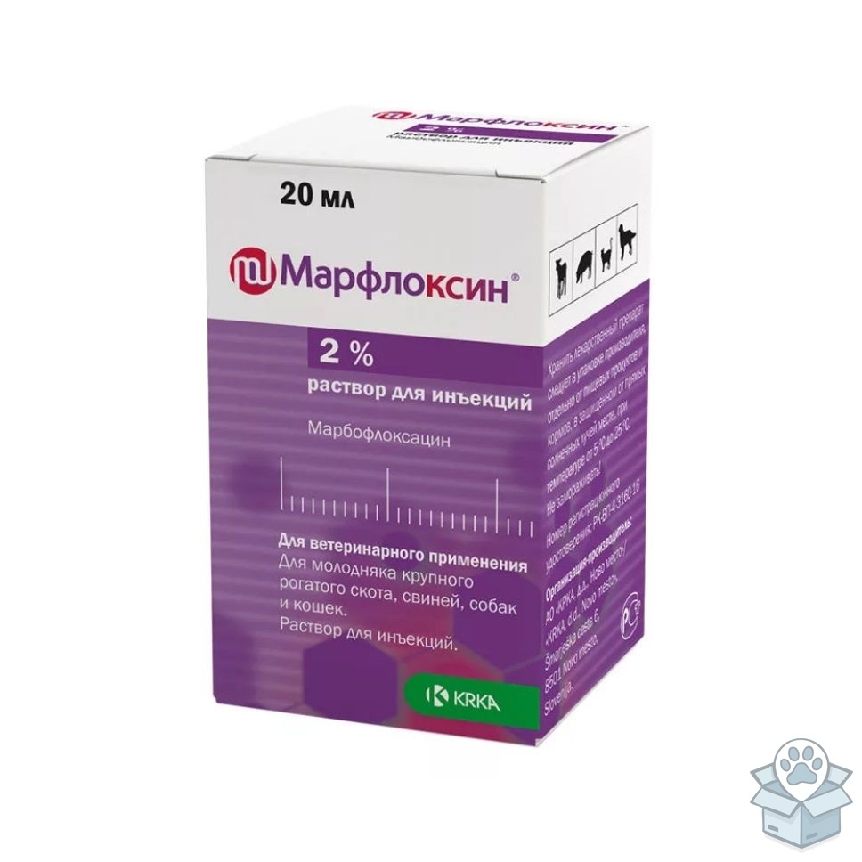 b2398489c85142d7a9a49265df8d24be