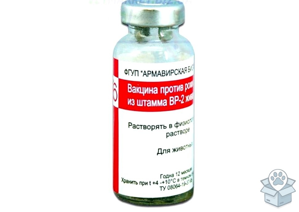 cd51f72a74b144f4a1ed17d2d81ef3b4