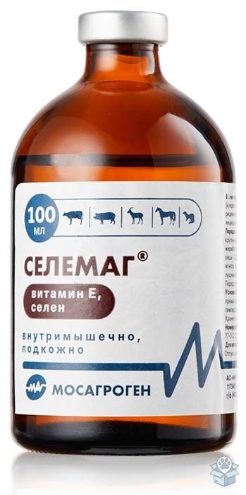 f96a557628ec4b45a6b16d13b6e5c355