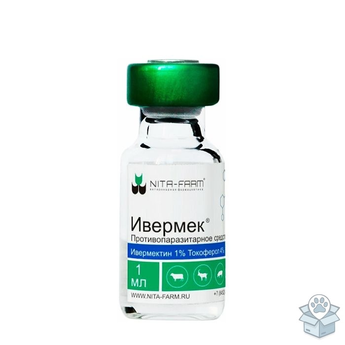 2e2492f52dae4b8da3a89cb94210ac1c