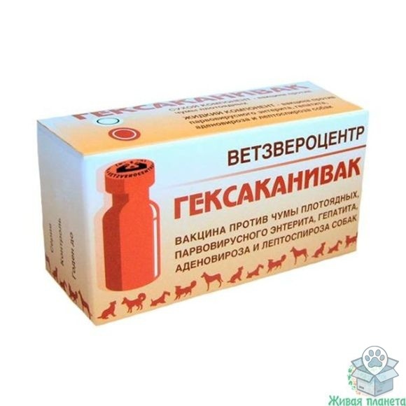 70840226761446128ad6c02f9940cc9e