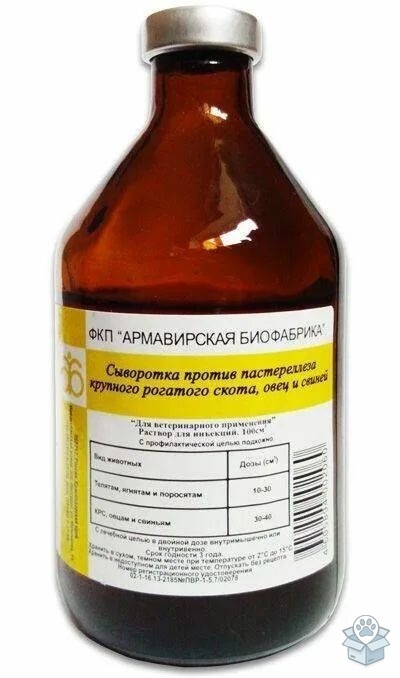 Армавир: Сыворотка против пастереллеза КРС, овец и свиней (2 дозы), 100 мл