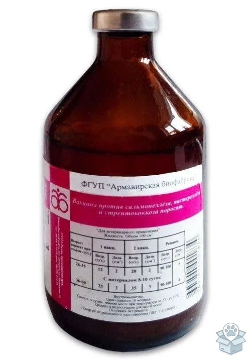 Армавир: Вакцина против сальмонеллёза, пастереллеза и стрептококкоза поросят (СПС), 100 мл = 20 доз