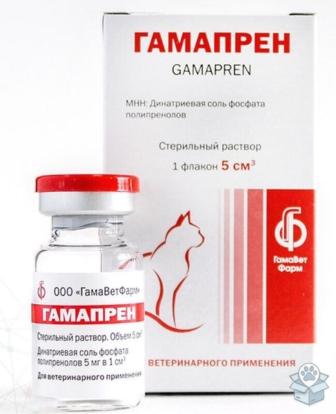 f9ca1996f6774a73bd187cefdeae5f19