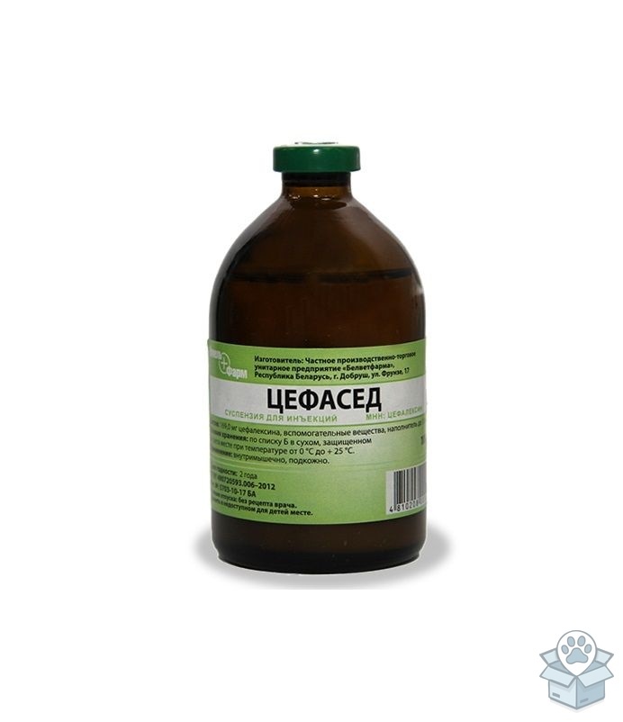 3856cc1cb4c5442e84aa6d32b9bd18de