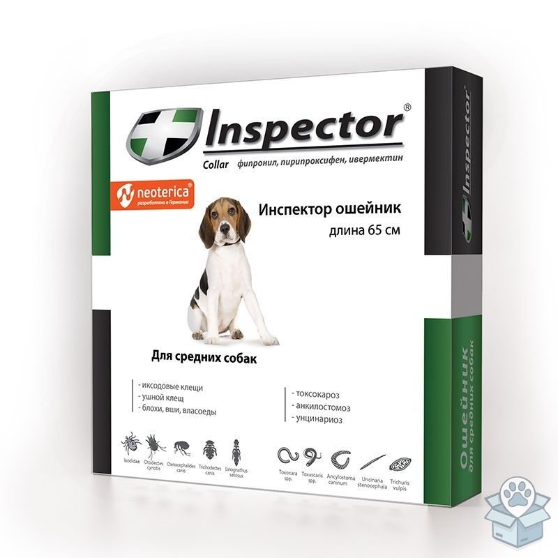 378848f93a6445afb57b83ed2f253e1f