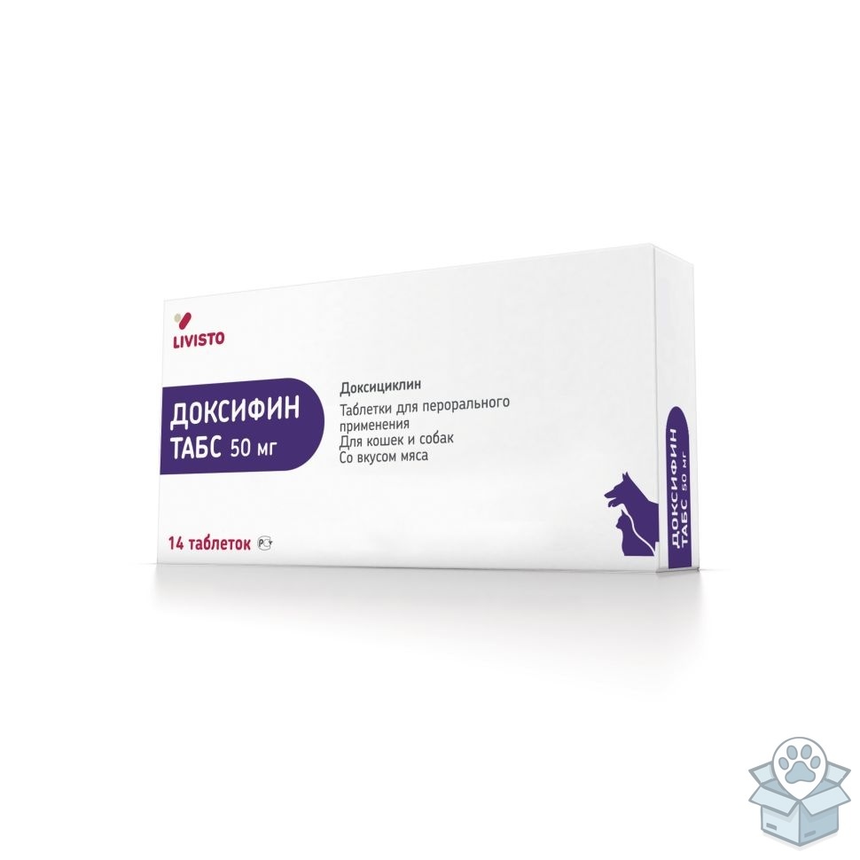 0833b658cefe49b9afe4cfc5ecdba11d