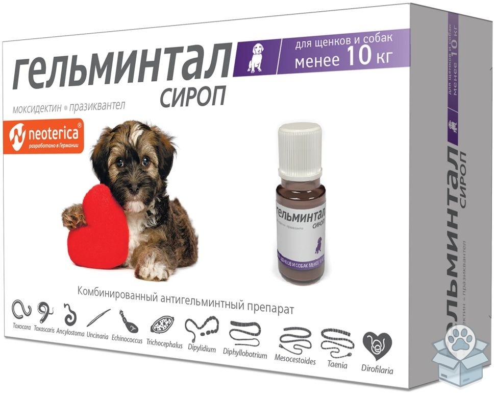 aaa4f533de134f9a89c82db17d45e918