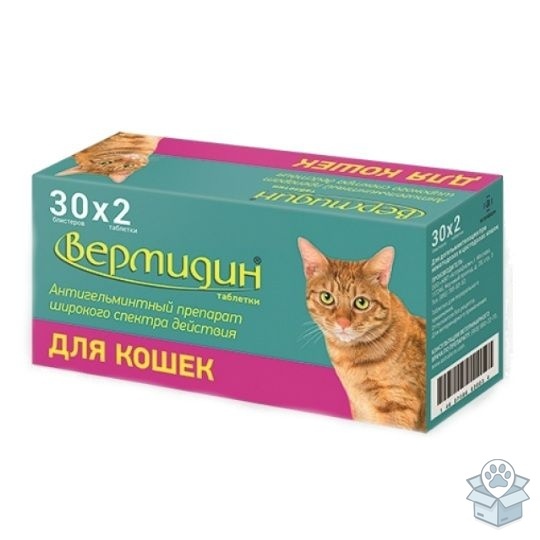 cc141403eabf4b7bbbfe9b4aaad35c05