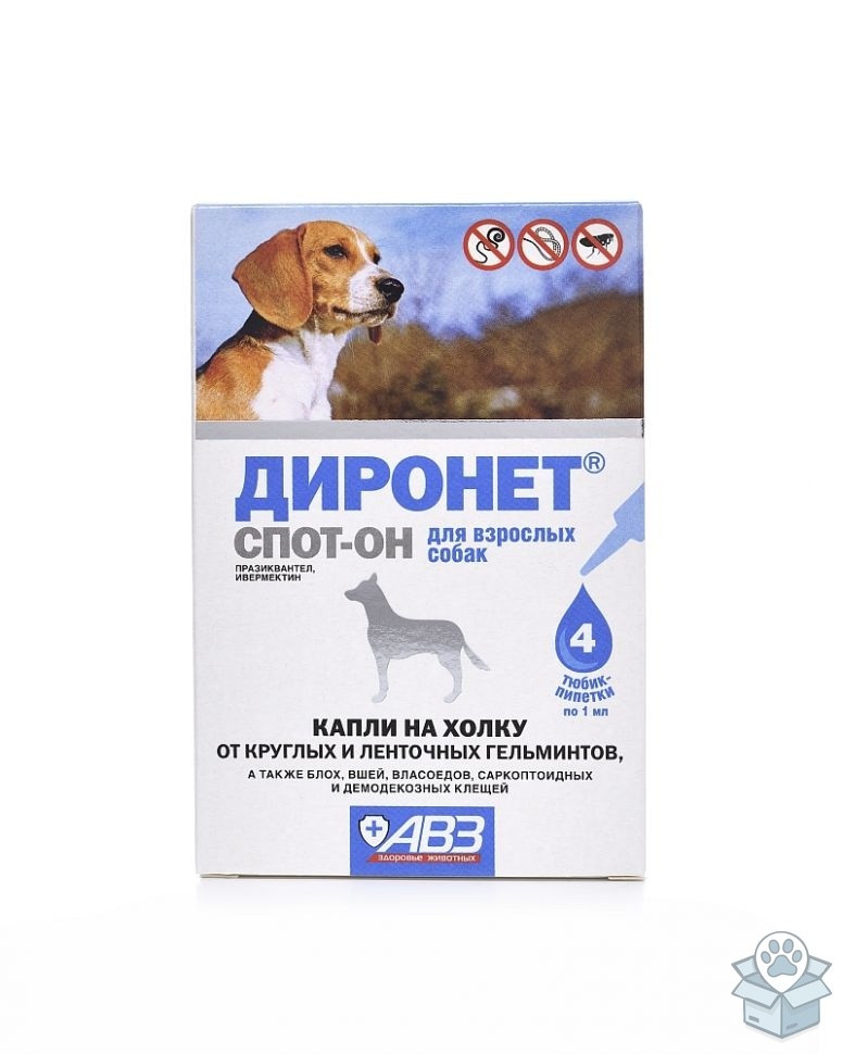 522c322368e84d1d948c74275d19453f