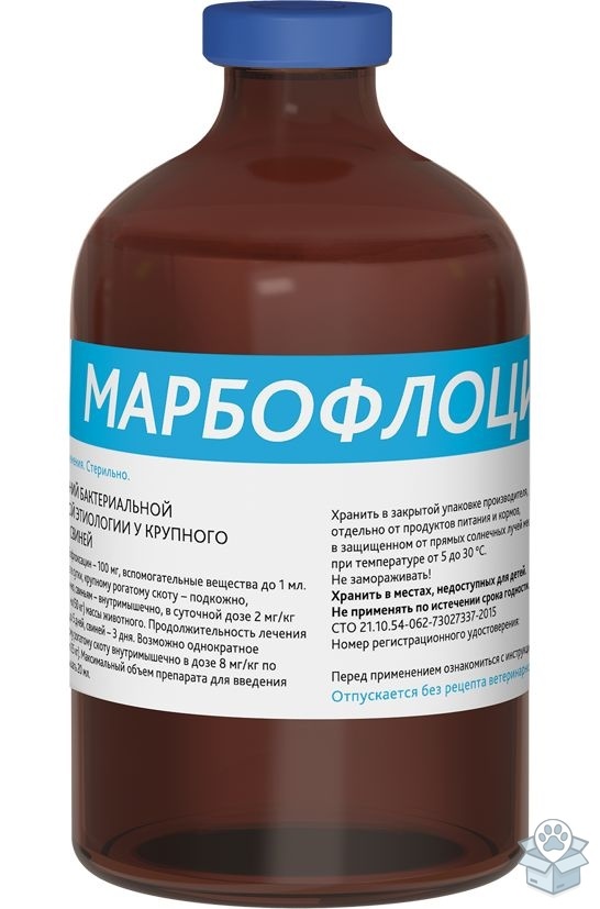 bccaa2266f9d406fb0fc09f581c8cde1