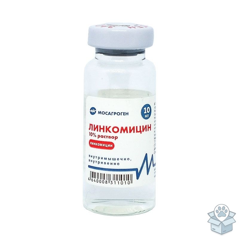 9385fe5f802b4e2089e0d873e7bfc619