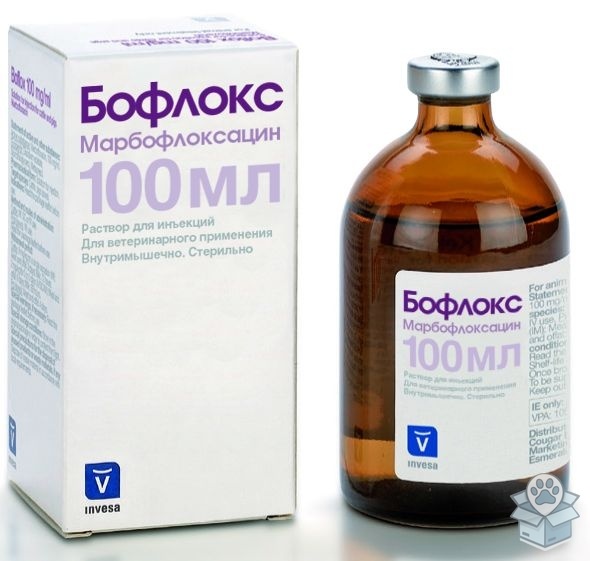 de06fb937edb4cc9babf4e7a5456d7cd