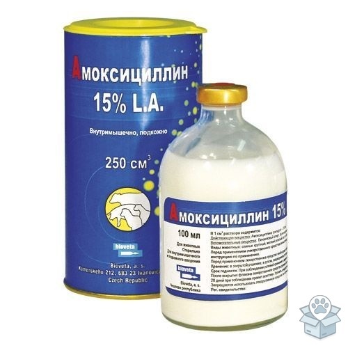 d42539bfcaf54ad9b228af1e65c8f3cb