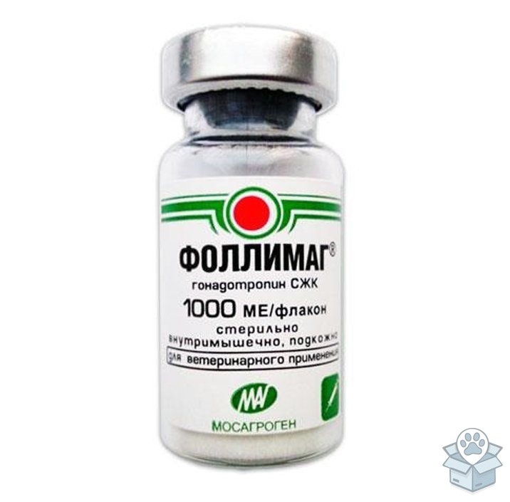 fe7773dd401e48b082ec09f8f5a4f4ab