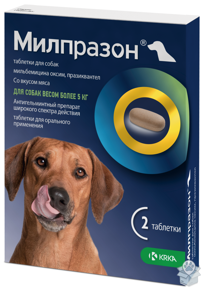 00d02d82c1ab4e38ae00d2de47a20606