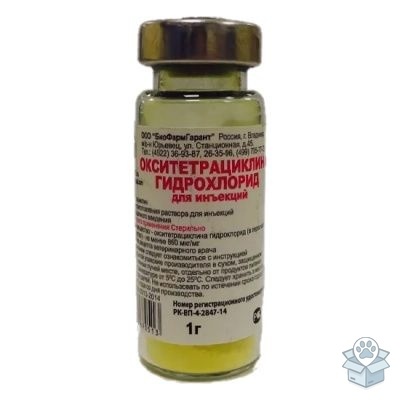 a6a3a0aefb4b4f199131c4a9978ce605