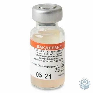 Вакдерм F, вакцина для кошек, 1 доза