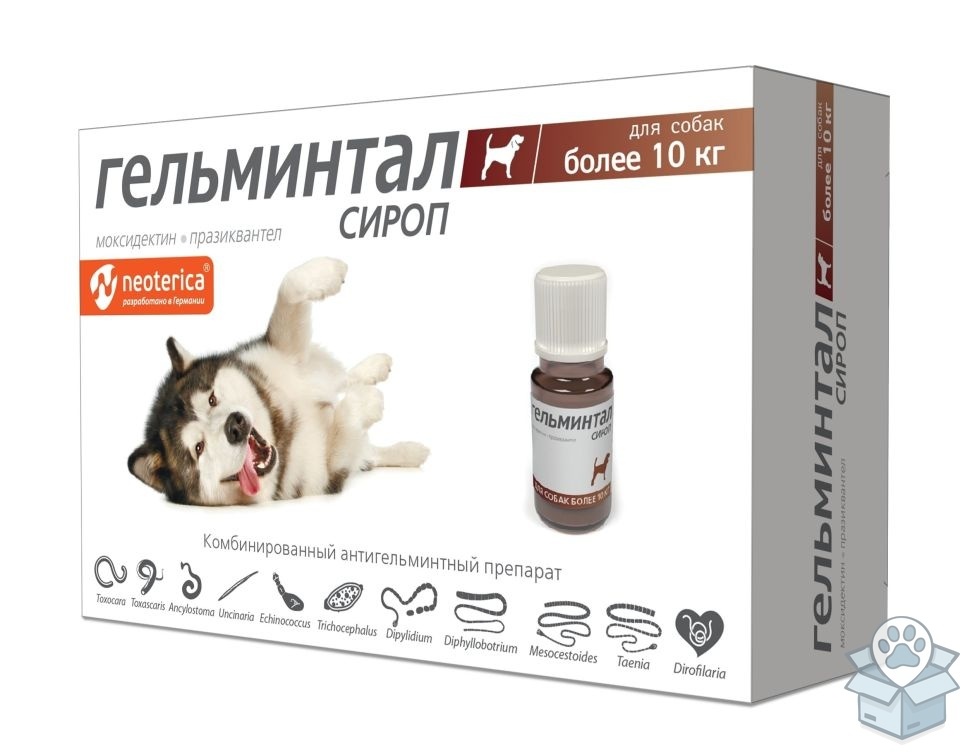 bc984d69d29545ecaf6c61c3d24cf985