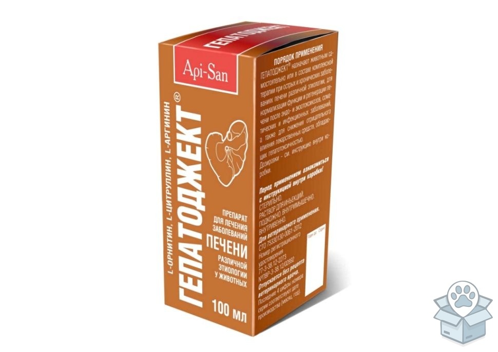 Апи-Сан: Гепатоджект, раствор для инъекций, 100 мл