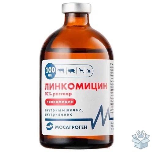 42b2fbe4f5424fdea738f533adb0a687