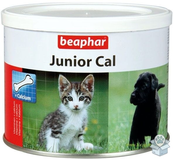 36b7c73bdc5b4e37b3d3f161afff8c87