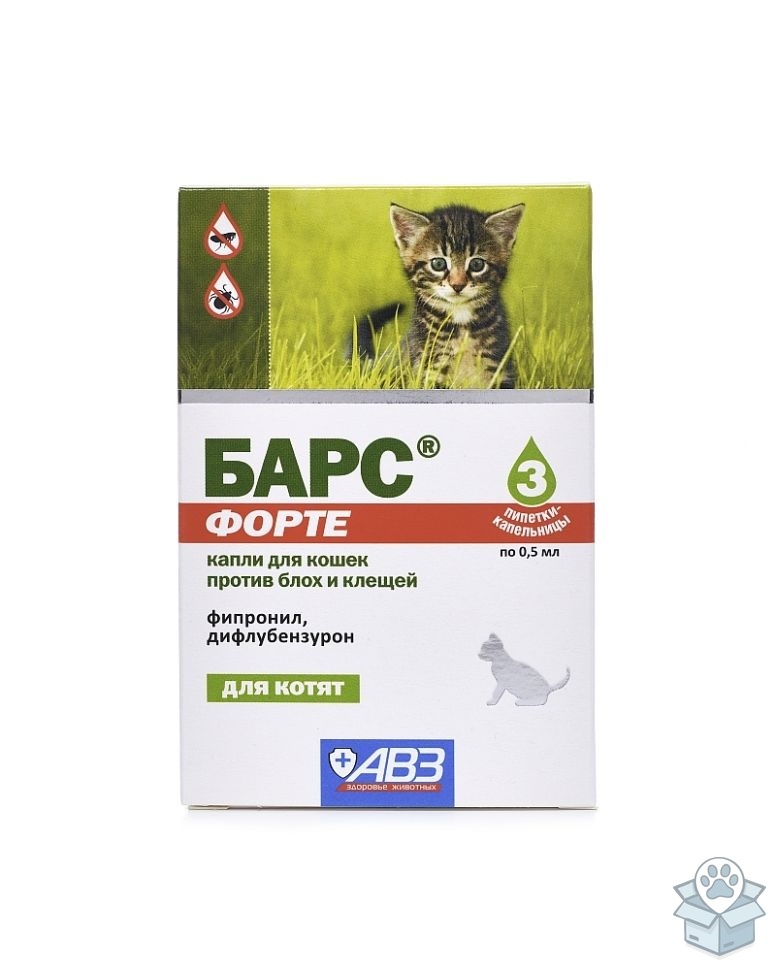 baa04467a8834893bc3ce0795bea18d4